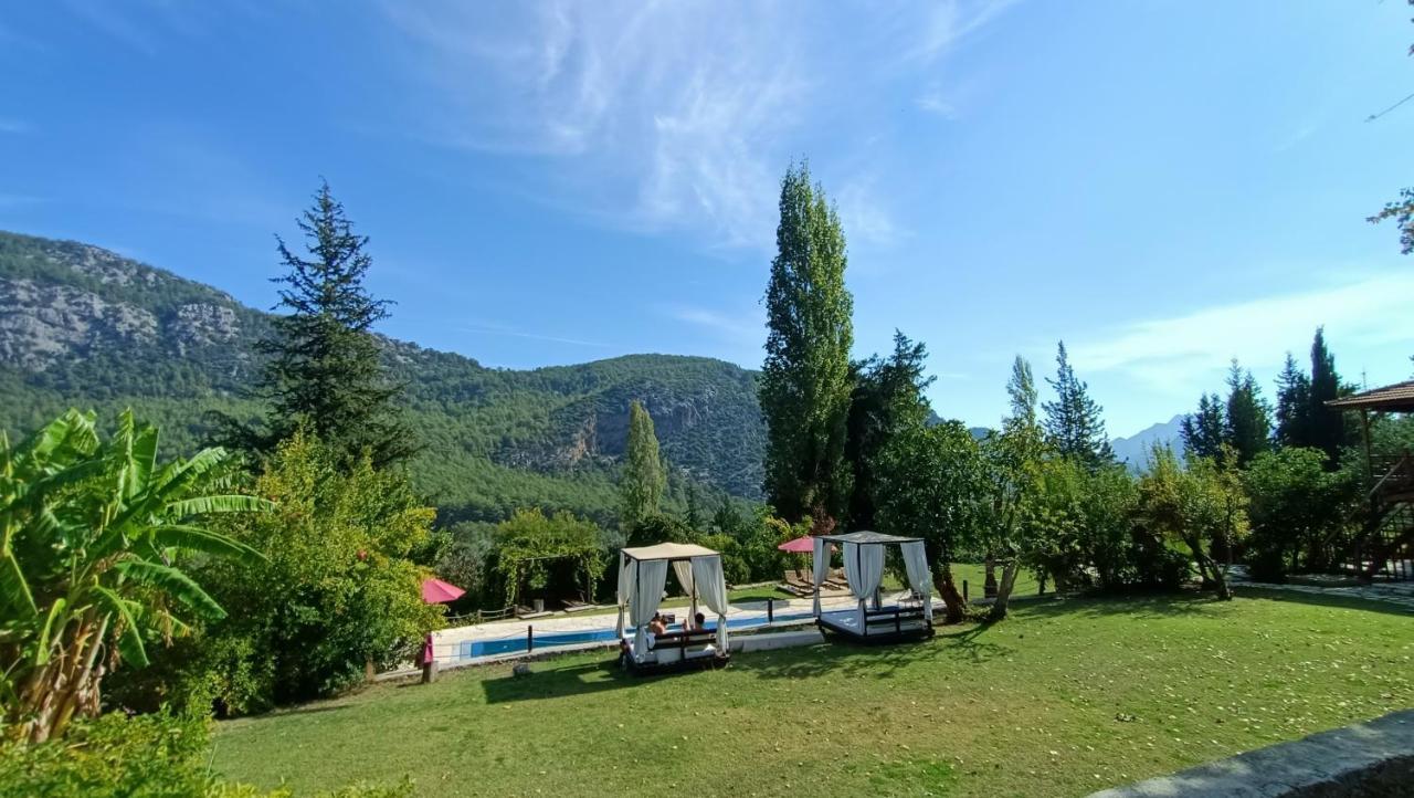 Lycia Nature House 2* Çıralı