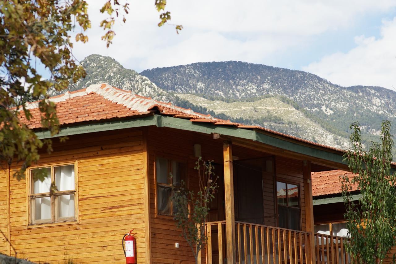 Lycia Nature House 2* Çıralı
