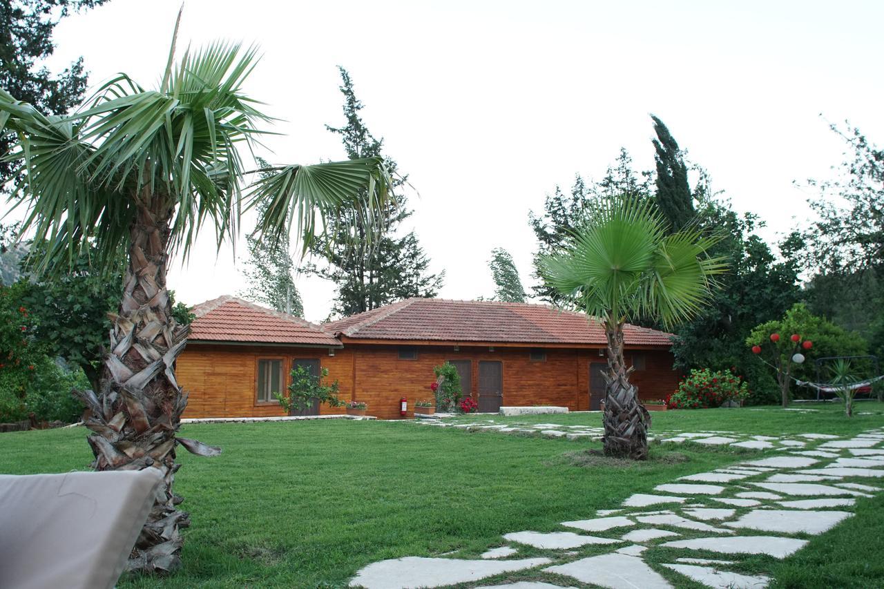 Lycia Nature House 2* Çıralı