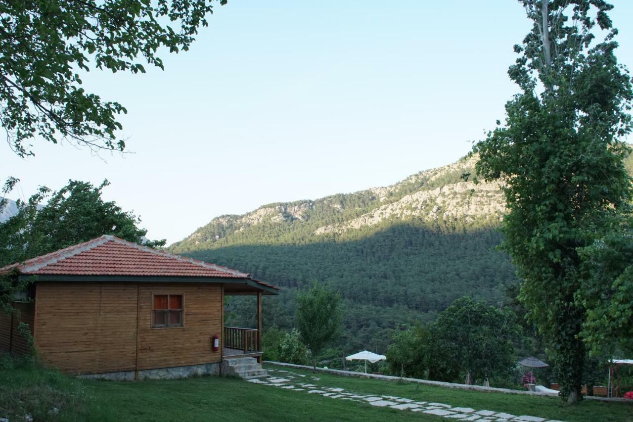 Lycia Nature House Çıralı
